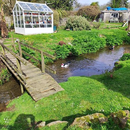 Tree Fern Barn Villa St Austell Eksteriør billede