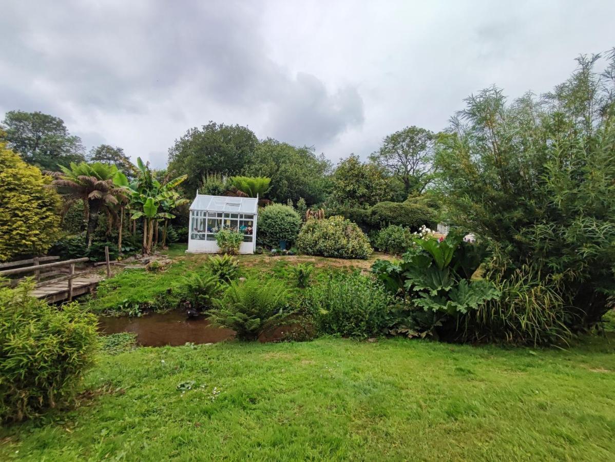Tree Fern Barn Villa St Austell Eksteriør billede